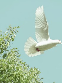 蜕变吧，人生