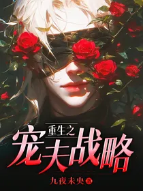 重生之宠夫战略