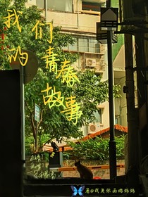 奇文桂瑞：我们的青春故事