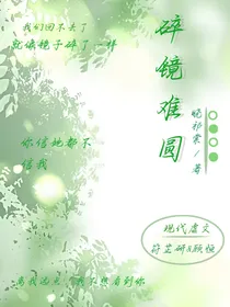 碎镜难圆