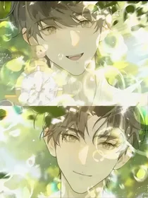 灼灼之年
