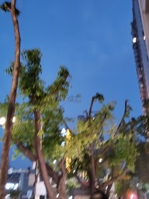 黑瞎子bg：再见了蓝眼睛爱人