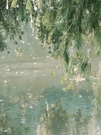 夏色弥深