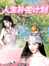 TF四代：人生补完计划