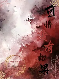 我爱你：可惜没有如果