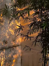 开始推理吧3