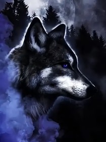 狼武士一紫琉璃的命运