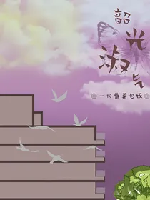 韶光淑气