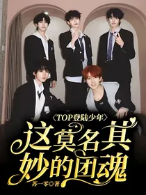 TOP登陆少年：这莫名其妙的团魂