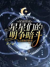 星宿传说（星星的明争暗斗）番外篇