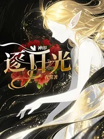 神印：逐日之光