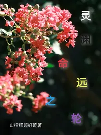 灵渊：命运之轮