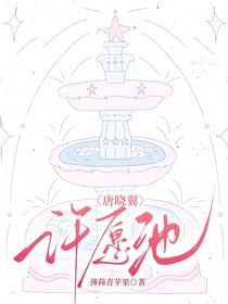 唐晓翼：许愿池