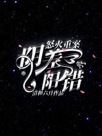 怒火重案：阴差阳错