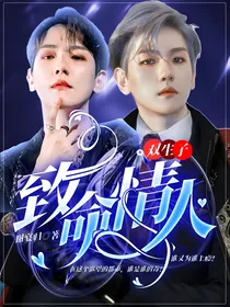 双生子：致命情人