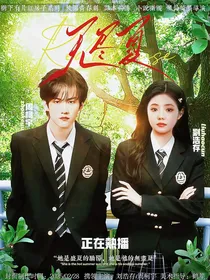 树下有片红房子：无尽夏