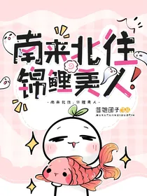 南来北往：锦鲤美人