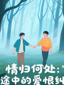 情归何处：迷途中的爱恨纠葛