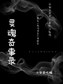 灵魂奇事录