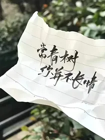 TNT：灵宠贴贴