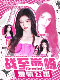 战至巅峰：爱情公寓——Gemini