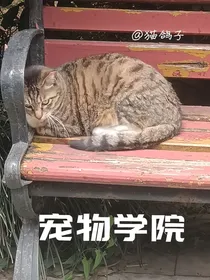 宠物学院