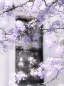 再不再见