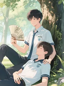默的和平鸽
