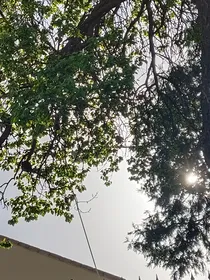 另一世界的人