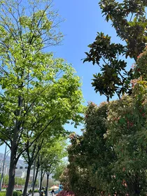 用余生证明我爱你