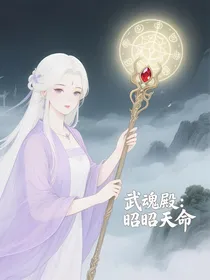 武魂殿：昭昭天命