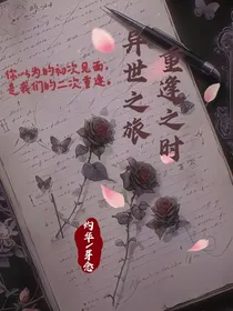 异世之旅，重逢之时