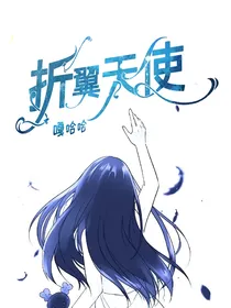 赛尔号：折翼天使