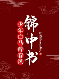 少年白马醉春风：锦中书