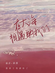 在大海相遇的我们