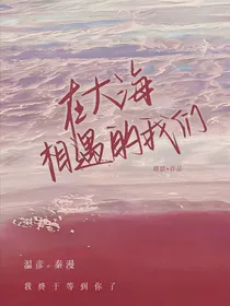 在大海相遇的我们