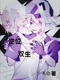 逆位双生