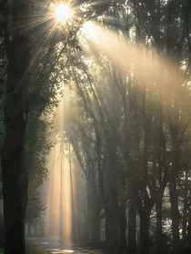 骨瘾