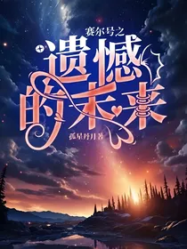 赛尔号之遗憾的未来