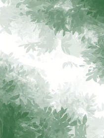 似景