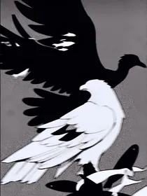 i与克莱伊格