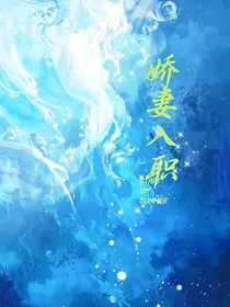 娇妻入职