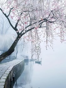 甜甜失去