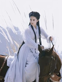 隋唐英雄：她征