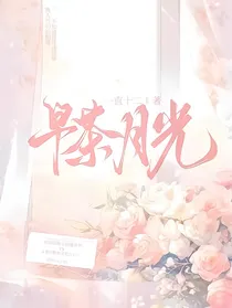 早茶月光