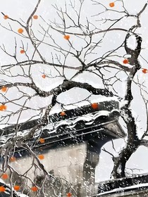 北霜