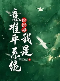 综影视：我是意难平系统