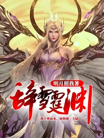 辞雪霆渊