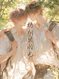 梧桐里的光