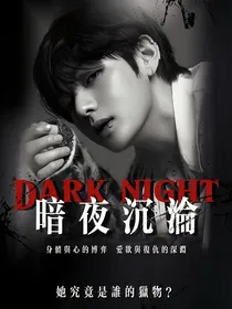 BTS：暗夜沉沦